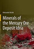 Recnik |  Minerals of the mercury ore deposit Idria | Buch |  Sack Fachmedien
