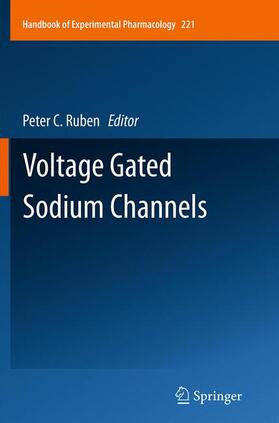 Ruben | Voltage Gated Sodium Channels | Buch | sack.de
