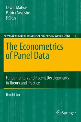 Sevestre / Mátyás |  The Econometrics of Panel Data | Buch |  Sack Fachmedien
