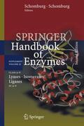 Schomburg |  Class 4-6 Lyases, Isomerases, Ligases | Buch |  Sack Fachmedien