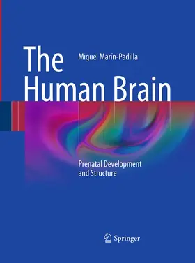 Marín-Padilla |  The Human Brain | Buch |  Sack Fachmedien