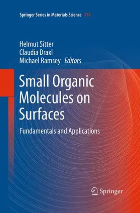 Sitter / Ramsey / Draxl |  Small Organic Molecules on Surfaces | Buch |  Sack Fachmedien