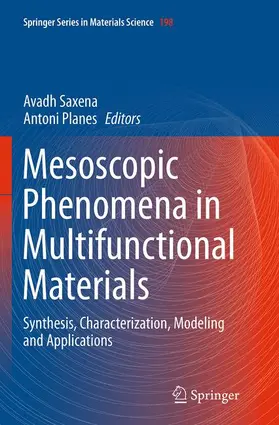 Planes / Saxena |  Mesoscopic Phenomena in Multifunctional Materials | Buch |  Sack Fachmedien