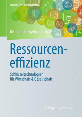 Neugebauer |  Ressourceneffizienz | Buch |  Sack Fachmedien