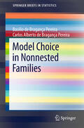 Pereira |  Model Choice in Nonnested Families | eBook | Sack Fachmedien