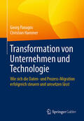 Panagos / Hammer |  Transformation von Unternehmen und Technologie | eBook | Sack Fachmedien