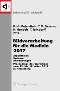 Maier-Hein, geb. Fritzsche / Deserno, geb. Lehmann / Fritzsche |  Bildverarbeitung für die Medizin 2017 | eBook | Sack Fachmedien