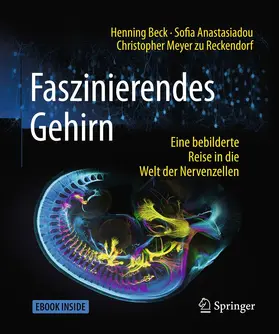 Beck / Anastasiadou / Meyer zu Reckendorf |  Faszinierendes Gehirn | Buch |  Sack Fachmedien