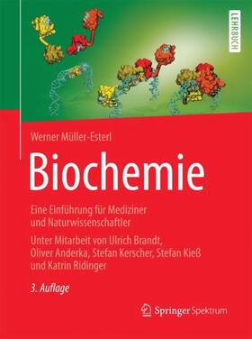 Müller-Esterl | Biochemie | Buch | sack.de
