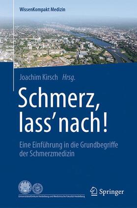 Kirsch | Schmerz, lass' nach! | Buch | 978-3-662-55357-2 | sack.de