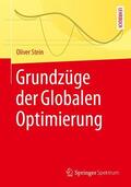 Stein |  Grundzüge der Globalen Optimierung | Buch |  Sack Fachmedien