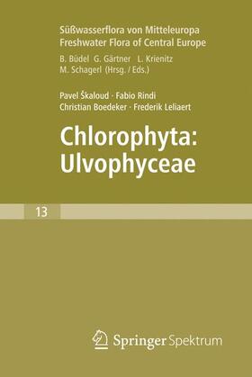 Škaloud / Leliaert / Rindi |  Freshwater Flora of Central Europe, Vol 13: Chlorophyta: Ulvophyceae (Süßwasserflora von Mitteleuropa,  Bd. 13: Chlorophyta: Ulvophyceae) | Buch |  Sack Fachmedien