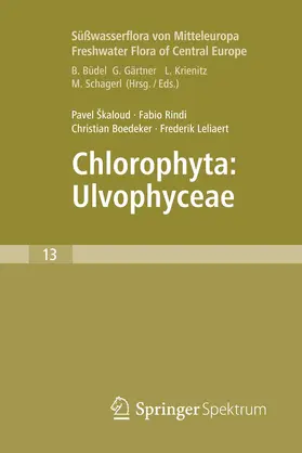 Škaloud / Leliaert / Rindi |  Freshwater Flora of Central Europe, Vol 13: Chlorophyta: Ulvophyceae (Süßwasserflora von Mitteleuropa,  Bd. 13: Chlorophyta: Ulvophyceae) | Buch |  Sack Fachmedien