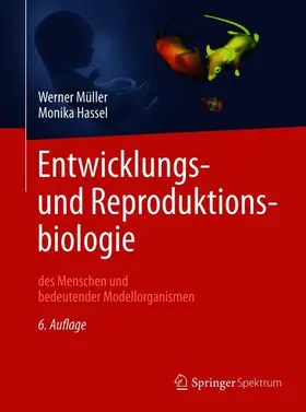 Müller / Hassel |  Entwicklungsbiologie und Reproduktionsbiologie des Menschen und bedeutender Modellorganismen | Buch |  Sack Fachmedien