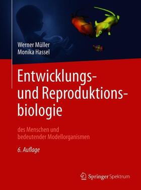 Müller / Hassel | Entwicklungsbiologie und Reproduktionsbiologie des Menschen und bedeutender Modellorganismen | Buch | 978-3-662-55533-0 | sack.de