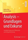 Weiß / Hirn |  Analysis ¿ Grundlagen und Exkurse | Buch |  Sack Fachmedien