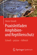 Glandt |  Praxisleitfaden Amphibien- und Reptilienschutz | eBook | Sack Fachmedien