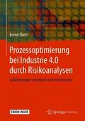Ebert |  Prozessoptimierung bei Industrie 4.0 durch Risikoanalysen | Buch |  Sack Fachmedien