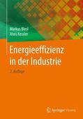 Kessler / Blesl |  Energieeffizienz in der Industrie | Buch |  Sack Fachmedien
