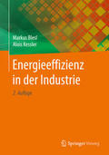 Blesl / Kessler |  Energieeffizienz in der Industrie | eBook | Sack Fachmedien