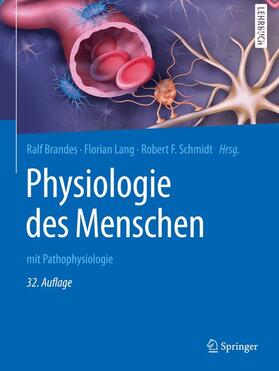 Brandes / Lang / Schmidt | Physiologie des Menschen | Buch | 978-3-662-56467-7 | sack.de