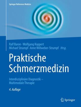 Baron / Koppert / Strumpf | Praktische Schmerzmedizin | Buch | 978-3-662-57486-7 | sack.de