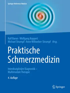 Baron / Koppert / Strumpf |  Praktische Schmerzmedizin | eBook | Sack Fachmedien