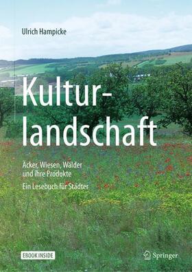 Hampicke | Kulturlandschaft - Äcker, Wiesen, Wälder und ihre Produkte | Buch | 978-3-662-57752-3 | sack.de