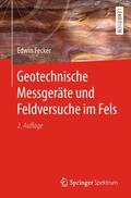 Fecker |  Geotechnische Messgeräte und Feldversuche im Fels | Buch |  Sack Fachmedien
