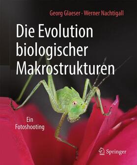 Nachtigall / Glaeser | Die Evolution biologischer Makrostrukturen | Buch | 978-3-662-57825-4 | sack.de