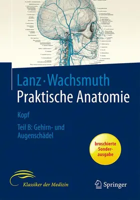 Lang | Kopf | Buch | 978-3-662-58087-5 | sack.de
