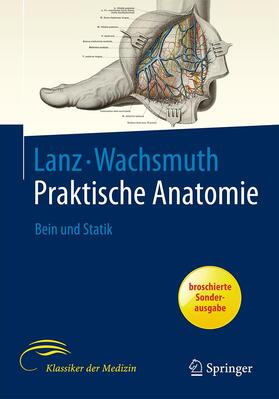Lang / Wachsmuth | Lang, J: Bein und Statik | Buch | 978-3-662-58088-2 | sack.de