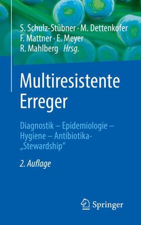 Schulz-Stübner / Dettenkofer / Mattner | Multiresistente Erreger | Buch | 978-3-662-58212-1 | sack.de