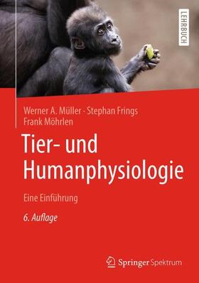 Müller / Frings / Möhrlen | Tier- und Humanphysiologie | Buch | 978-3-662-58461-3 | sack.de