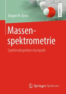 Gross | Massenspektrometrie | Buch | 978-3-662-58634-1 | sack.de