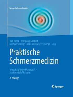 Baron / Koppert / Strumpf |  Praktische Schmerzmedizin | Buch |  Sack Fachmedien