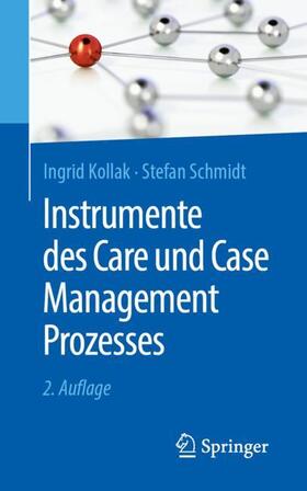 Kollak / Schmidt | Schmidt, S: Instrumente des Care und Case Management Prozess | Buch | 978-3-662-59243-4 | sack.de