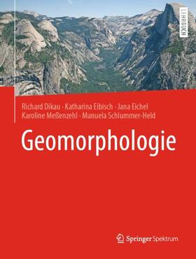 Dikau / Eibisch / Eichel |  Geomorphologie | Buch |  Sack Fachmedien