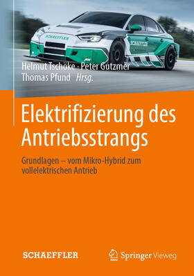 Tschöke / Gutzmer / Pfund | Elektrifizierung des Antriebsstrangs | E-Book | sack.de