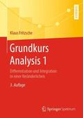 Fritzsche |  Grundkurs Analysis 1 | Buch |  Sack Fachmedien