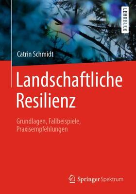 Schmidt |  Landschaftliche Resilienz | Buch |  Sack Fachmedien
