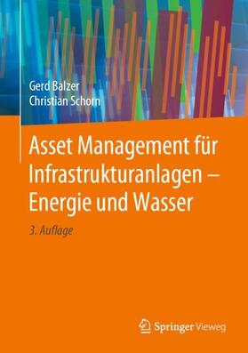 Schorn / Balzer |  Asset Management für Infrastrukturanlagen - Energie und Wasser | Buch |  Sack Fachmedien