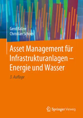 Balzer / Schorn | Asset Management für Infrastrukturanlagen - Energie und Wasser | E-Book | sack.de