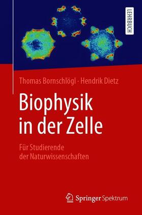 Bornschlögl / Dietz | Biophysik in der Zelle | Buch | sack.de