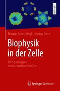 Bornschlögl / Dietz |  Biophysik in der Zelle | Buch |  Sack Fachmedien