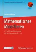 Bauer |  Mathematisches Modellieren | Buch |  Sack Fachmedien