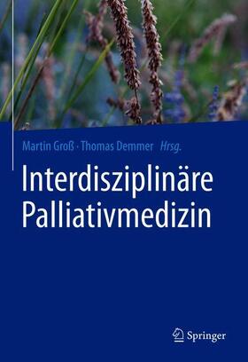 Groß / Demmer | Interdisziplinäre Palliativmedizin | Buch | 978-3-662-62010-6 | sack.de