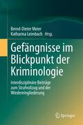 Meier / Leimbach |  Gefängnisse im Blickpunkt der Kriminologie | Buch |  Sack Fachmedien