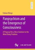 Klinge |  Panpsychism and the Emergence of Consciousness | Buch |  Sack Fachmedien