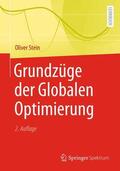 Stein |  Grundzüge der Globalen Optimierung | Buch |  Sack Fachmedien
